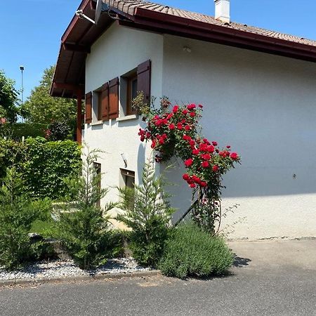 Chez Patrick Et Dominique Apartment Saint-Pierre-en-Faucigny Екстериор снимка